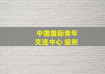 中国国际青年交流中心 级别